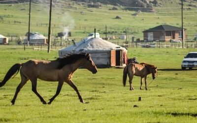 Mongolisch lernen für den Urlaub
